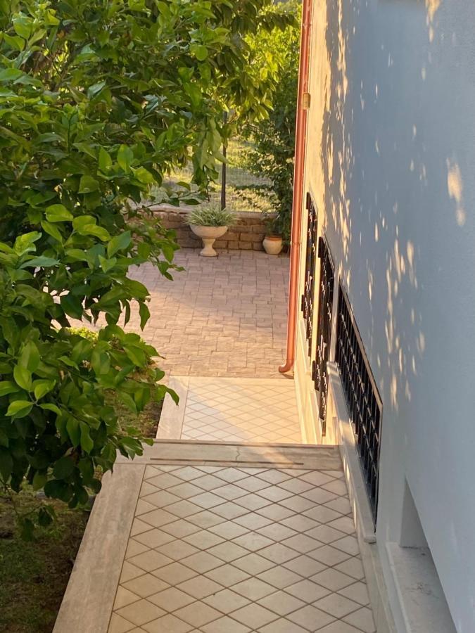 Alloggio Turistico Villa Camelia Lavinio Anzio Extérieur photo
